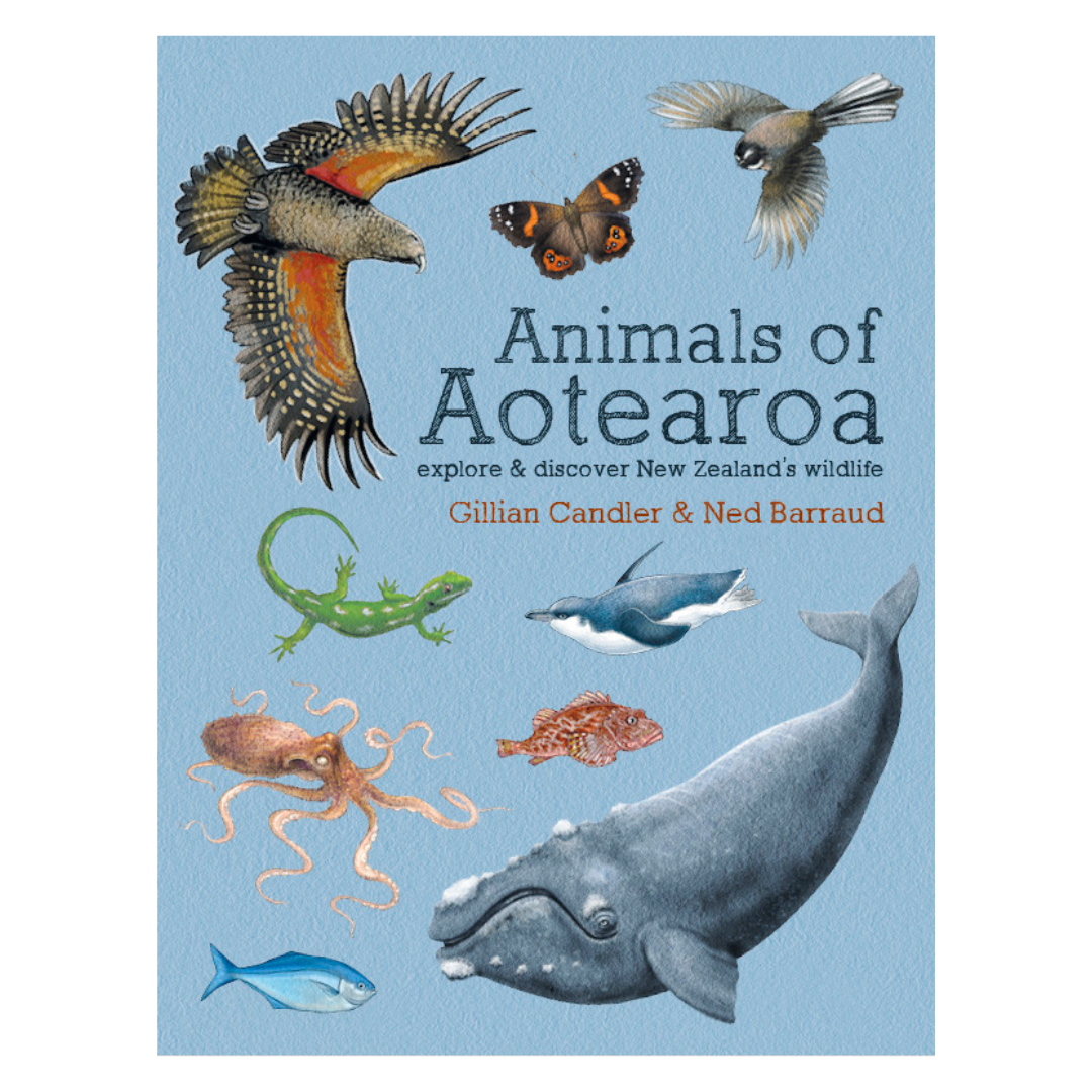 Animals Of Aotearoa - Little Reef and Friends