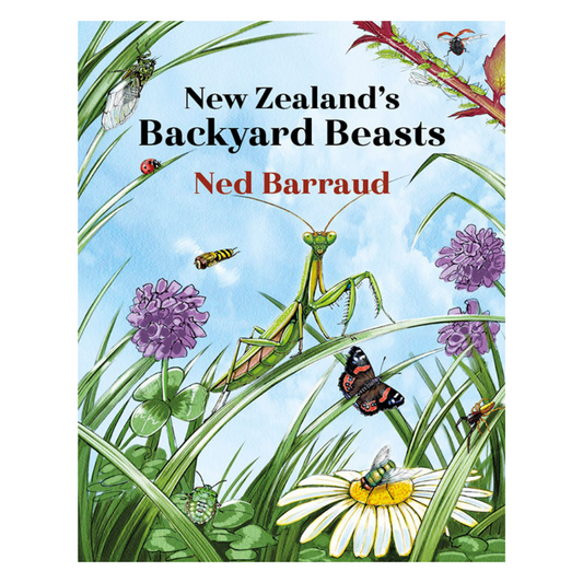 New Zealand Backyard Beasts - Little Reef and Friends