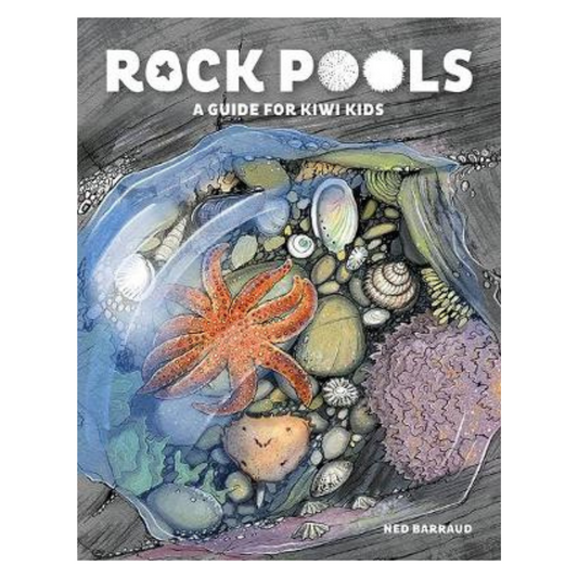 Rock Pools - Little Reef and Friends