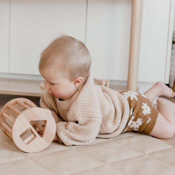 Wooden Shape Sorter - Little Reef and Friends