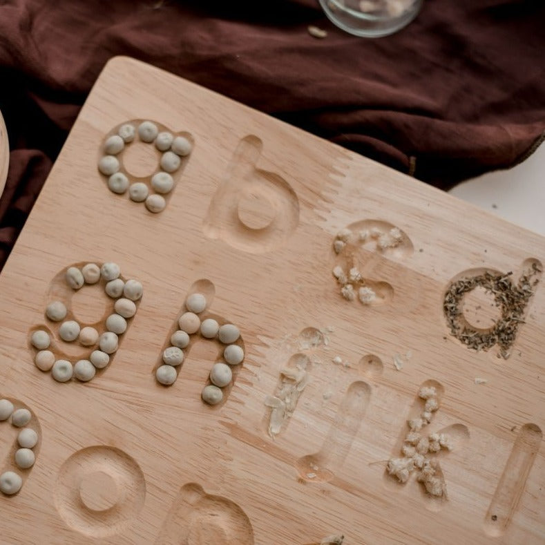 Lower Case Letter Tracing board - Little Reef and Friends