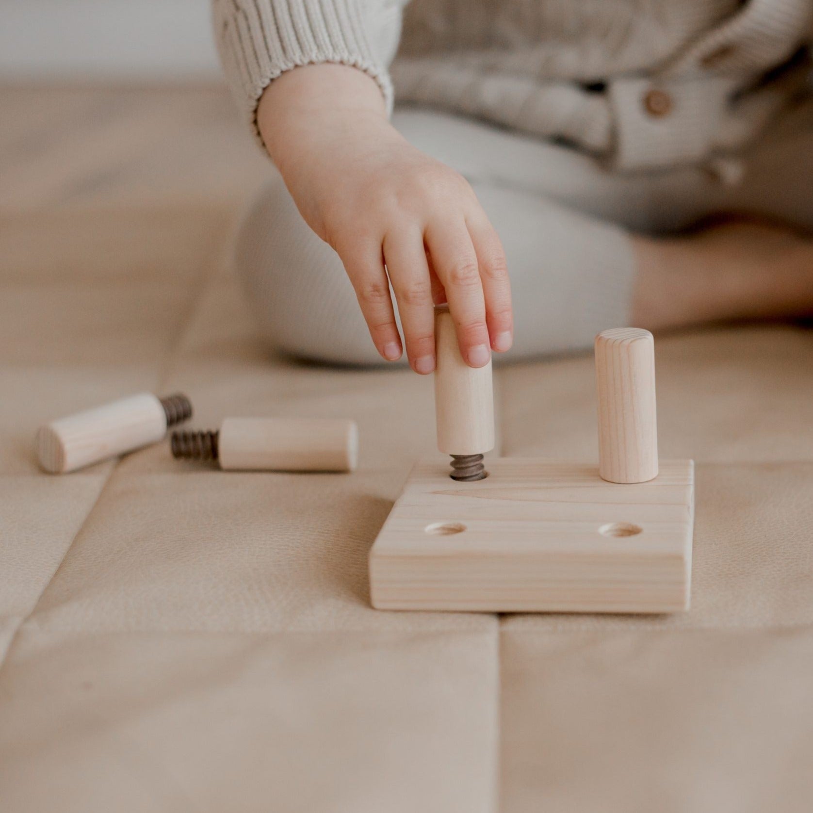 Montessori Screw Game - Little Reef and Friends