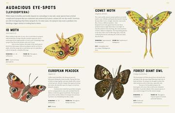 Encyclopedia of Insects - Little Reef and Friends